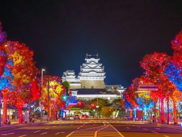 Himeji大手前通りイルミネーション