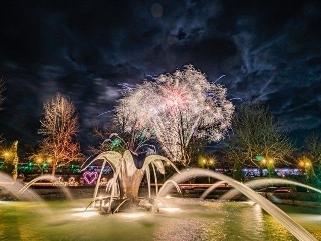 フラワーイルミネーションinとっとり花回廊