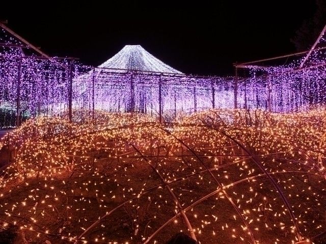 由志園 ライトアップイルミネーション