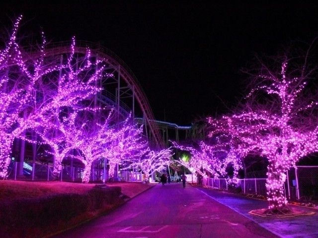 グリーンランド「Wonder illumination ～地上の星空