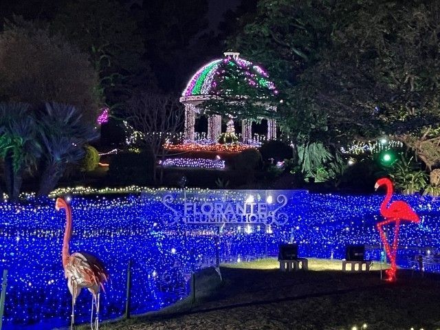 フローランテ宮崎 イルミネーション・フラワーガーデン