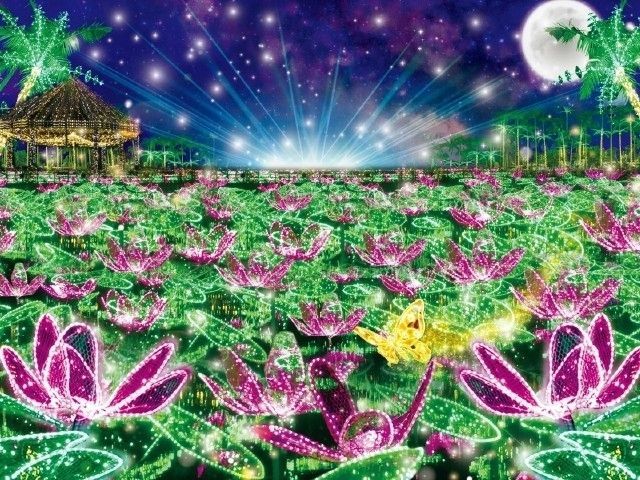 東南植物楽園「沖縄南国イルミネーション」