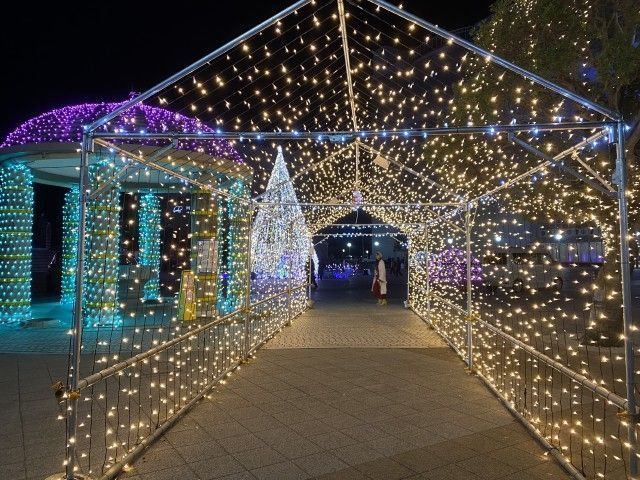Hitachi Starlight Illumination