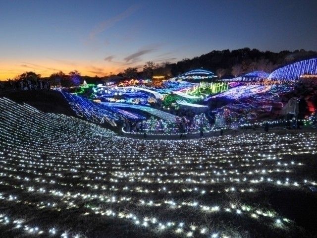 国営讃岐まんのう公園 ウィンターファンタジー