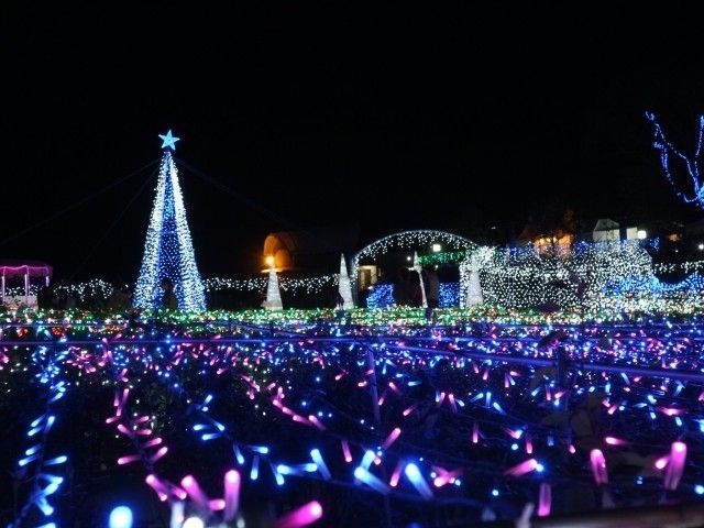 クリスマスファンタジーナイト in かのやばら園