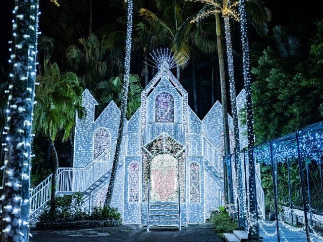 東南植物楽園「沖縄南国イルミネーション」