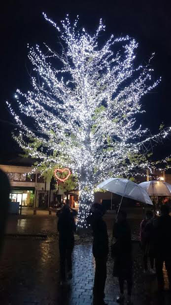 丸田池公園 いとしまイルミネーション イルミネーション特集