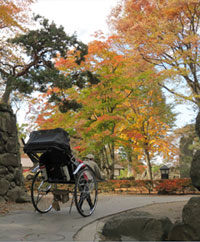 平成最後の「小諸城址 懐古園 紅葉(もみじ)まつり」が開催