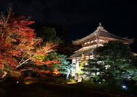 京都 鹿王院で紅葉シーズンに夜間特別拝観2018年度 ライトアップ決定！