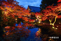 アフロ地蔵でも話題「金戒光明寺」 紅葉ライトアップ鑑賞付き拝観プラン販売