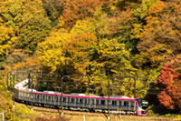 高尾山の紅葉シーズンにあわせ臨時座席指定列車「Ｍｔ．ＴＡＫＡＯ号」運行