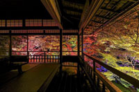 京都 八瀬「瑠璃光院夜間特別拝観」プランが2018年度も実施決定。