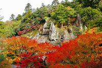 紅葉も絶景の加賀・那谷寺で、今しか見れない宝物展を開催