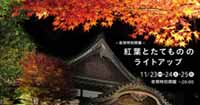 江戸東京たてもの園で「紅葉とたてもののライトアップ」2018実施