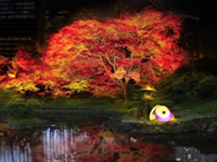 芝離宮で紅葉ライトアップイベント実施！芝離宮夜会by 1→10　～Lights interact with nature～