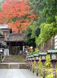 京都 長楽寺で『可能性アートプロジェクト展 in 長楽寺』を開催！
