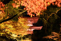 石山寺「あらた夜もみじ」イベント開催中!国宝と紅葉を幻想的にライトアップ