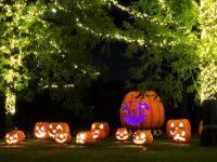 土日祝限定！国営武蔵丘陵森林公園で「光と森のStory 森のハロウィンナイト」開催！