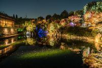 都会の中の幻想的オアシス 豊島区立目白庭園にて「秋の庭園ライトアップ」2019年11月23日(土・祝)~12月1日(日)開催