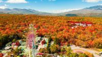軽井沢おもちゃ王国大観覧車から浅間高原の絶景紅葉を見下ろす！ホテルグリーンプラザ軽井沢で大観覧車乗車券を期間限定販売