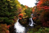 日光エリアの2019年紅葉ピーク時期が発表！日光東照宮の紅葉のピークは11/2～11/16あたり