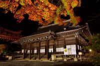 明智光秀ゆかりの西教寺で紅葉のライトアップと夜間座禅体験なども実施！「戦国ワンダーランド滋賀・びわ湖」開催