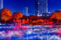 霧と紅葉と美食の宴「江戸秋夜会 by 1→10 ～旧芝離宮恩賜庭園～」開催