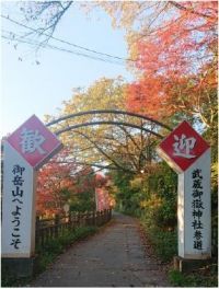 青梅・御岳山では、ケーブルカー御岳山駅から武蔵御嶽神社への参道が間もなく紅葉見ごろに（2019年11月12日現在）