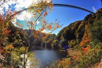 奥久慈の艶やかな絶景!茨城県「竜神峡紅葉まつり」11月30日(土)まで開催