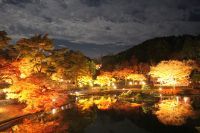 修善寺虹の郷 夜の園内を楽しむ「もみじライトアップ」2019開催！