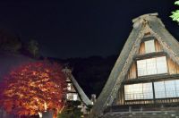 2日間限定！生田緑地内「川崎市立日本民家園」で幻想的な古民家ともみじのライトアップを堪能