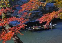 ちちぶへおでかけキャンペーン 第3弾　 ながとろの「山と川」どっちも割　 ～当日発売！おトクに川下りもロープウェイも楽しもう～