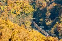 秋の臨時座席指定列車「Mt.TAKAO号」を運行します！