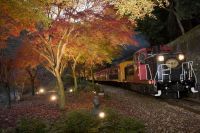 嵯峨野トロッコ列車「秋のライトアップ臨時便」乗車 宿泊プラン販売開始のお知らせ