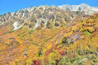 立山黒部アルペンルート　紅葉シーズンスタート　 ～本州一番乗り！富山県と長野県を結ぶ～