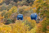 【苗場スキー場】いよいよ苗場ドラゴンドラ周辺の紅葉が今シーズンのピークを迎えます。