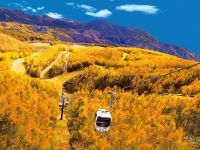 グランデコリゾート 裏磐梯紅葉ロープウェイまもなく紅葉見頃!