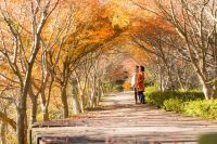 伊豆の国パノラマパーク　紅葉の見頃も間近!　秋のイベントがいっぱい！オータムフェア開催中