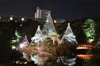 11月中旬頃が見頃の紅葉スポット 紅葉情報