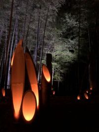 竹寺 竹あかり ～紅葉編～2020年11月21(土)より埼玉県飯能市・竹寺(八王寺) は、”竹寺・竹あかり”を初開催