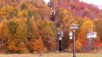 大自然の紅葉を楽しむ「裏磐梯紅葉ロープウェイ」秋の運行開始