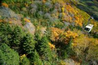 【HAKUBA VALLEY栂池自然園】紅葉ウィーク2021を開催