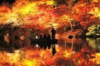 紅葉に燃える香川の名園で、ひとときの夜の夢「栗林公園ライトアップ」