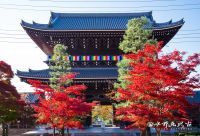 通常非公開の京都『くろ谷 金戒光明寺』　 2023年秋の特別拝観を開催