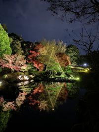 【足立区花畑記念庭園】秋のライトアップ開催