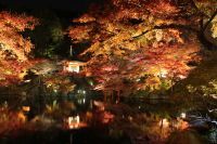 今秋の醍醐寺は見所満載～夜間拝観/奉納コンサートなどのイベント実施！
