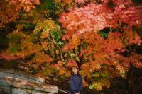 神戸の紅葉名所「布引の紅葉」間もなく見ごろ。ロープウェイの車窓からは色づく六甲山脈の壮大な景色も