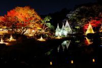 紅葉最盛期にあわせ文京区立肥後細川庭園11月25日～12月3日でライトアップ