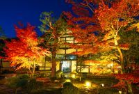 京都嵐山 紅葉 鹿王院夜の特別拝観2024