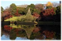 【小石川後楽園】約400本のイロハモミジで紅く染まる大名庭園で 「深山紅葉を楽しむ」開催（11/16～12/8）